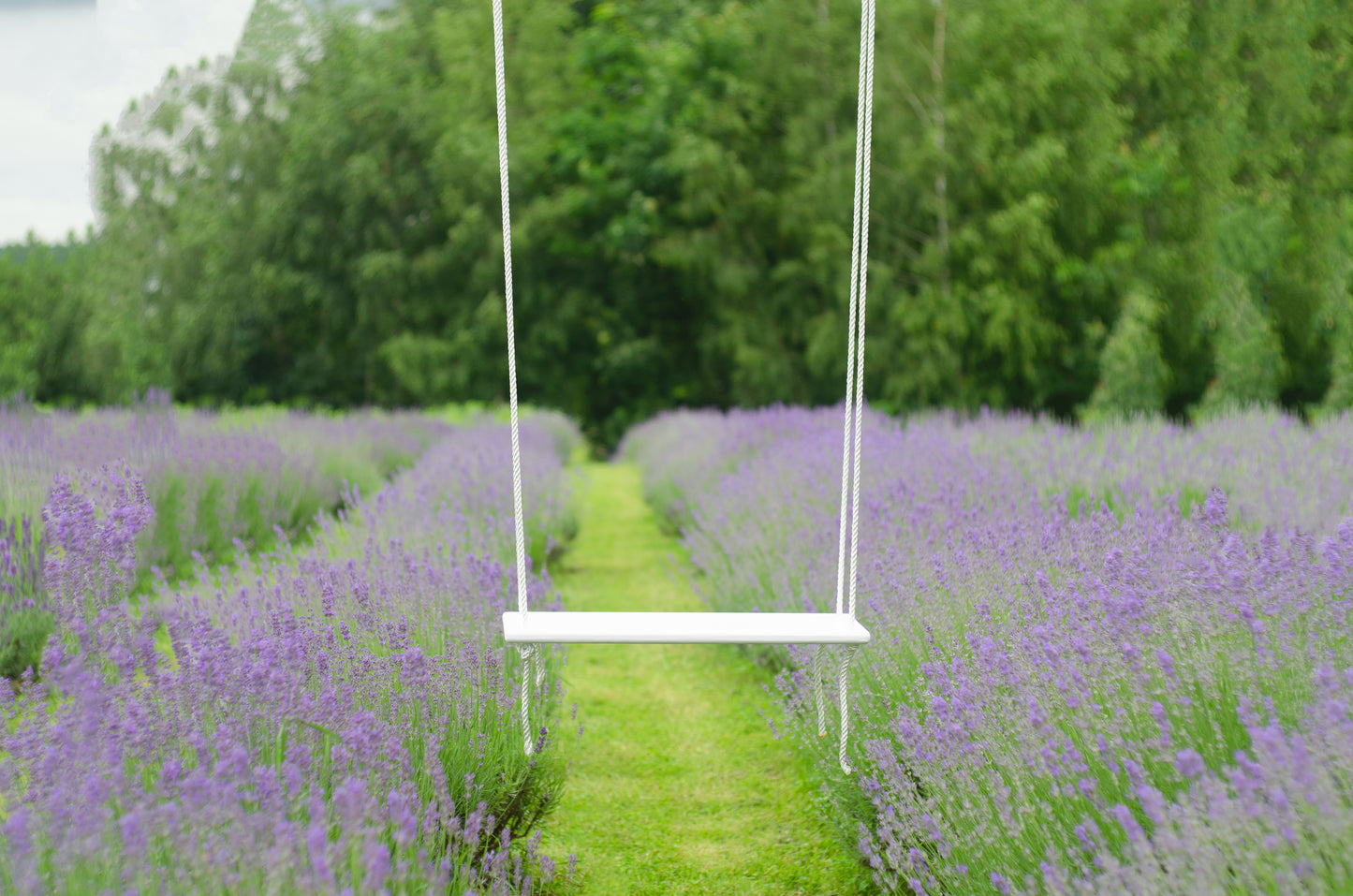 Adult Outdoor White Wooden Swing