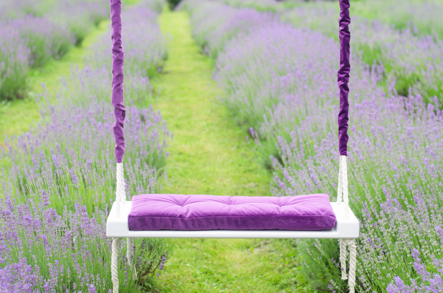 Adult Inside White Swing With A Purple Seat