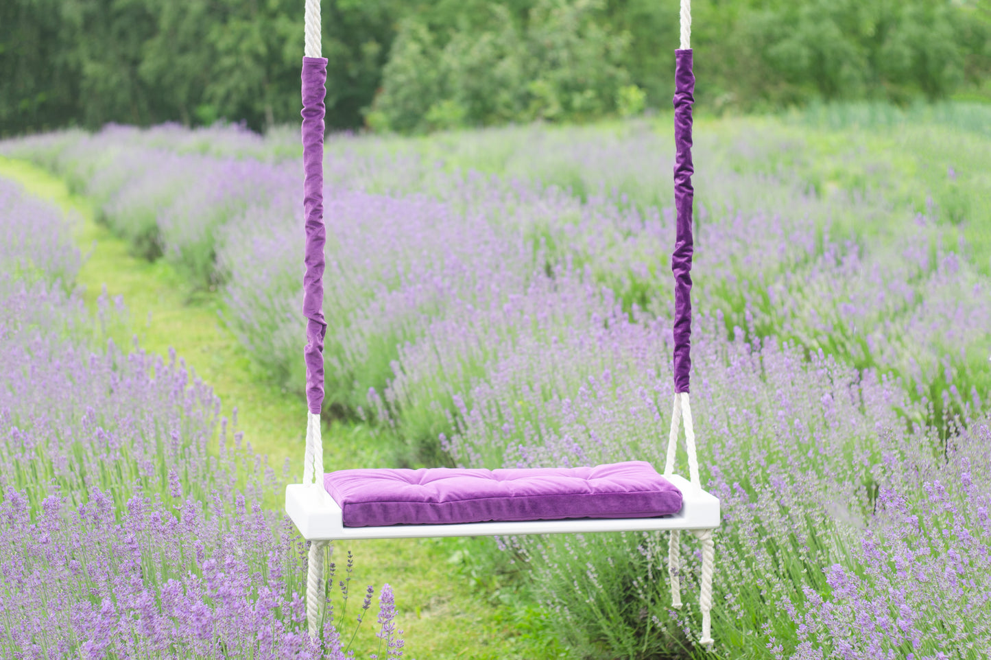 Adult Inside White Swing With A Purple Seat