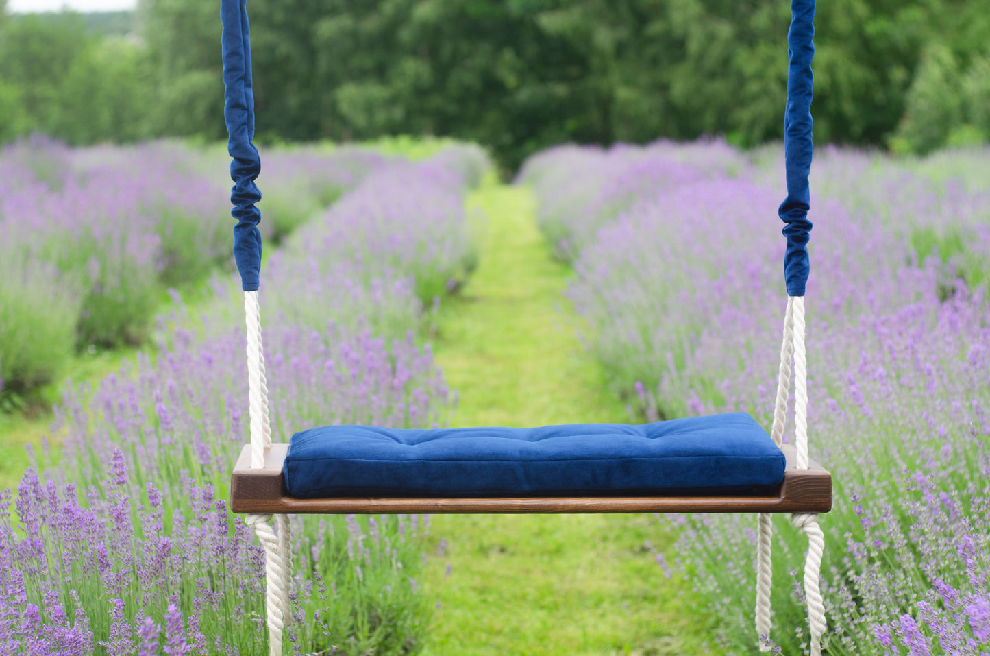 Adult Inside Natural Swing With A Blue Seat