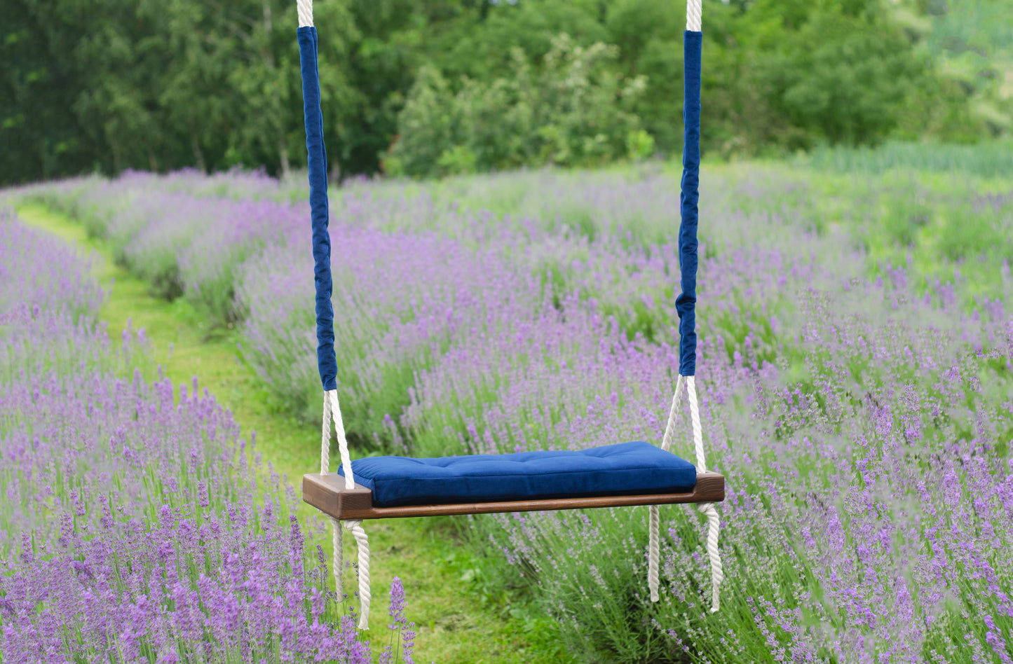 Adult Inside Natural Swing With A Blue Seat