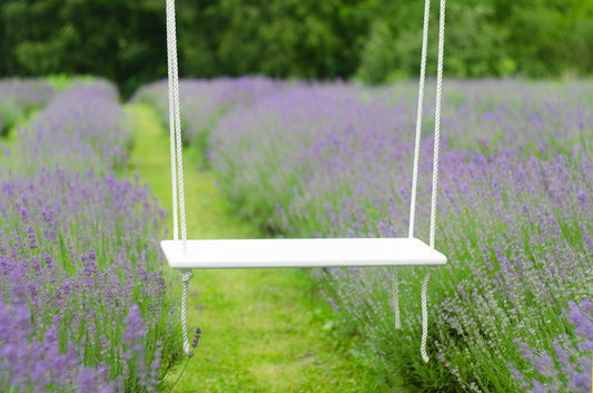 Adult Outdoor White Wooden Swing